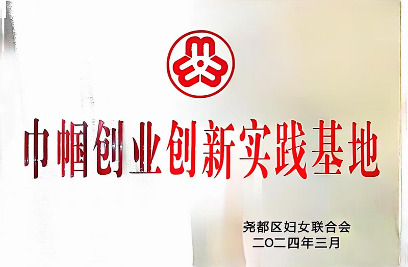妇联-巾帼创业创新实践基地.jpg