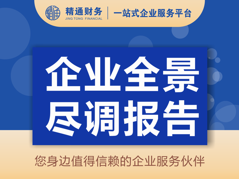 企业全景尽调报告.png