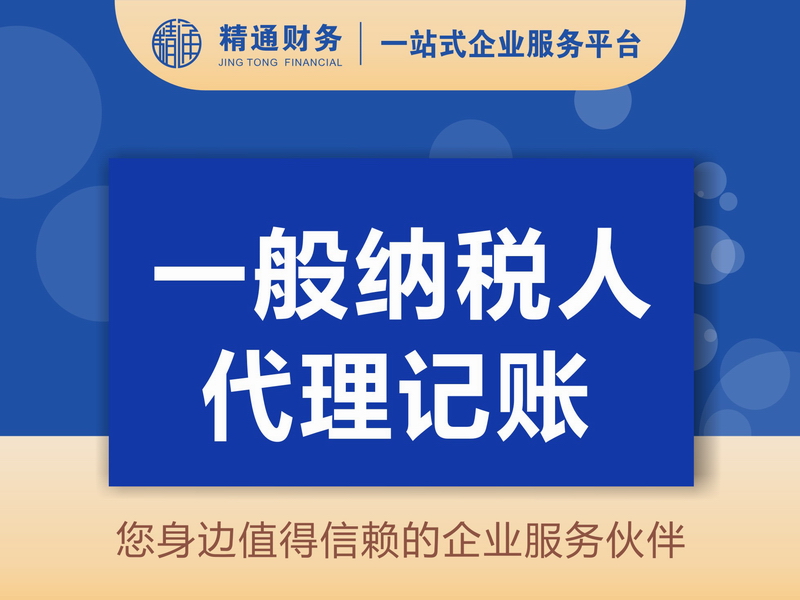 一般纳税人代理记账.jpg